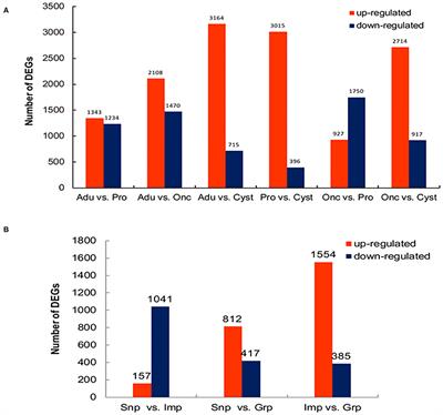 Comparative Transcriptome Analyses of the Developmental Stages of Taenia multiceps